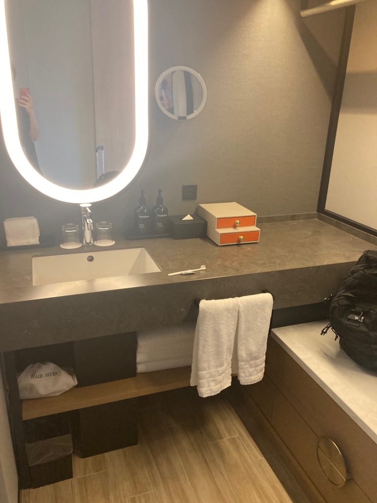 キャノピーの洗面台